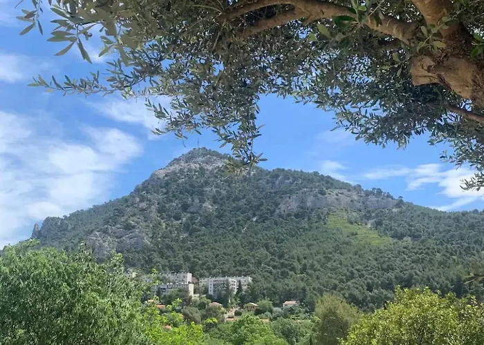 Maison De * טולון